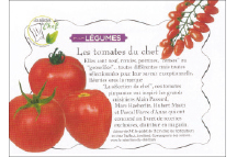 <b>les tomates du chef</b></br> l ami des jardins et de la maison